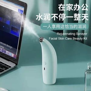 Handheld Facial Mist Sprayer 100Ml 500Maha Battery Ultrasonic Hydration Device For Home Use - Product Image 1