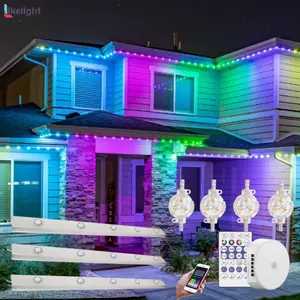 Üretici ip68 açık su geçirmez UCS2904 RGBW RGB kalıcı tatil noel dekorasyon işık piksel led noktası işık