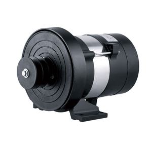 Generatore di energia a dinamo a doppio cuscinetto 2.0KW 2.5KW di piccola potenza DC12V 8.3A tipo di spazzola alternatore con AVR - Product Image 6