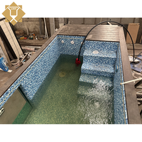 Piscine Conteneurisée en Verre 30ft 40ft avec Structure en Acier Intelligente, Système de Filtration et Technologie de Nettoyage de l'Eau Contemporaine