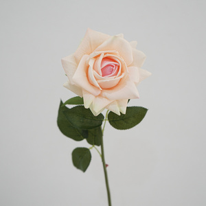 13CM vendita calda di alta qualità reale tocco di corallo rosa rosa artificiale a stelo singolo per la tavola di casa decorazioni - Product Image 6