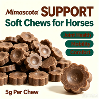 Suppléments pour chevaux OEM, aide digestive, formules calmantes et de récupération, nutrition équine pour l'entraînement et les soins quotidiens