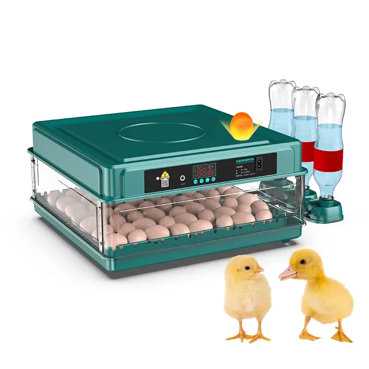 Incubateurs d'œufs de ferme avicole éclosoir 70(72) capacité d'œufs 98% taux d'éclosion élevé machine d'éclosion d'œufs de poussin