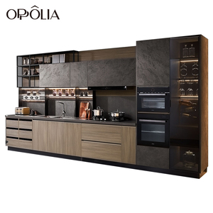 OPPOLIA خزائن مطبخ صغيرة مجهزة بحوض، خزانة عصرية عالية الجودة على الطراز الإيطالي - Product Image 2