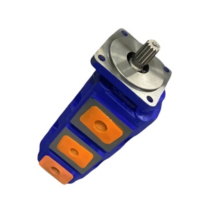 Pompe à engrenages externe optimisée pour le débit Série P197 P197A086CBZA20-14 P197A131WCZA20-14 P197L086CVZA20-14 Pompe à engrenages hydraulique - Product Image 2