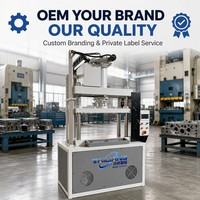 Presse à estamper multifonction haute vitesse, machine de poinçonnage de précision