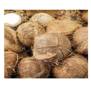 Máquina descascarilladora de coco de nuevo diseño, precio de fábrica, descascarillador de piel de coco con garantía de satisfacción - Product Image 5