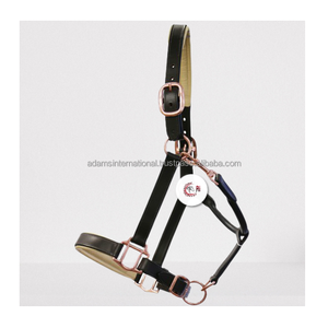 Alta calidad suave acolchado caballo cuero Halter logotipo personalizado producto Ecuestre para montar - Product Image 1