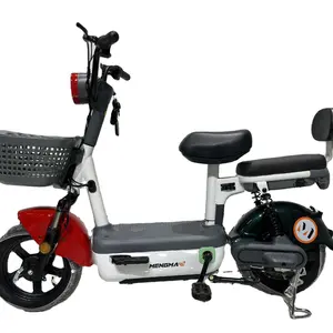 Top Quality New Adult Battery Electric Bicycle /Electric Bike
