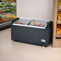 Congélateur commercial à vitrine incurvée, 2 portes, refroidissement direct, réfrigérant R290, autoportant, pour supermarché
