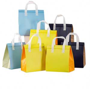 Bolsa Térmica Pequeña para Llevar Comida, Bolsa de Entrega de Alimentos, Bolsa Aislante de Calor Desechable, Portátil, No Tejida - Product Image 1