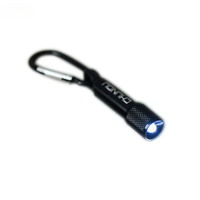 Mini lampe de poche LED de poche portable porte-clés torche batterie AA étanche pour un usage quotidien et le camping en plein air