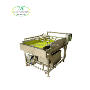 Máquina Automática de Lavado de Cepillos MXJ, <span class=keywords><strong>Precio</strong></span> de Fábrica, para Limpiar Soja/Hortalizas de Hoja/Manzanas/<span class=keywords><strong>Pulpo</strong></span>, Cepillo Extraíble - Product Image 3