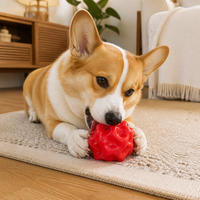 Balle distributrice de friandises pour chien, moderne, écologique, petite, irrégulière, en TPE, jouet interactif anti-fuite pour animaux, résistant aux morsures, jouet à mâcher pour les dents.