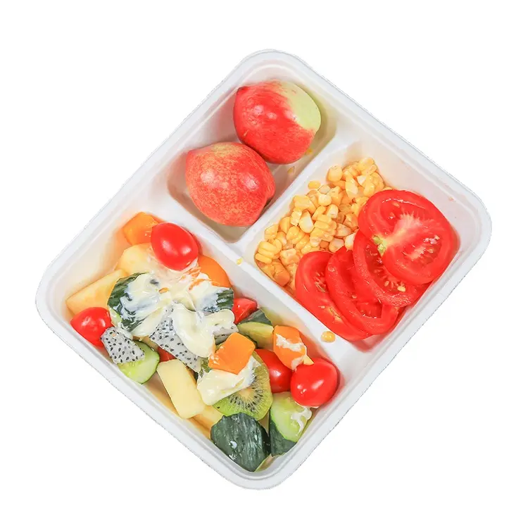 2021 Home Compostable 3 Compartment Tray Paper Plates Food Packaging