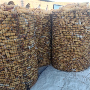 Malla <span class=keywords><strong>de</strong></span> Geogrid Biaxial <span class=keywords><strong>de</strong></span> PP Negra, Malla <span class=keywords><strong>de</strong></span> 3 cm <span class=keywords><strong>de</strong></span> Apertura y 50 m <span class=keywords><strong>para</strong></span> Cría <span class=keywords><strong>de</strong></span> Aves <span class=keywords><strong>de</strong></span> Corral, Protección <span class=keywords><strong>de</strong></span> Huertos y Granjas - Product Image 3