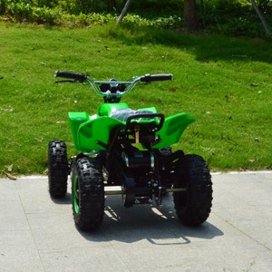 Mini <span class=keywords><strong>Quad</strong></span> <span class=keywords><strong>Électrique</strong></span> <span class=keywords><strong>36V</strong></span> 500W à Transmission Automatique par Chaîne pour Enfants - Product Image 6