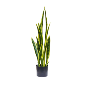 Gran oferta, decoración del hogar, paisaje, planta de follaje verde, bonsái, planta de serpiente para mesa, serpiente artificial, bonsái en maceta - Product Image 5
