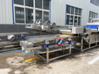Productielijn voor het wassen, blancheren en koelen van BSF-larven, continu insectenlarvenverwerkingsapparatuur, aanpasbaar, CE & ISO gecertificeerd