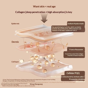 PQQ Collagène Peptide Liquide Oral Améliore la Densité Osseuse Peptide Actif Végétal à Faible Poids Moléculaire <span class=keywords><strong>Rousselot</strong></span> Boisson OEM - Product Image 3