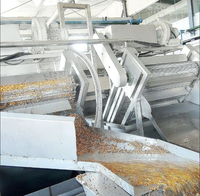 Automatische zeebuckthorn verwerkingslijn van roestvrij staal, apparatuur voor de productie van zeebuckthorn puree, jam en olie