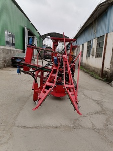 Máquina cosechadora <span class=keywords><strong>de</strong></span> <span class=keywords><strong>caña</strong></span> <span class=keywords><strong>de</strong></span> azúcar <span class=keywords><strong>de</strong></span> alta eficiencia, con orugas <span class=keywords><strong>de</strong></span> goma, todo terreno, <span class=keywords><strong>de</strong></span> baja rotación y baja dañina para el suelo, directa <span class=keywords><strong>de</strong></span> fábrica - Product Image 5