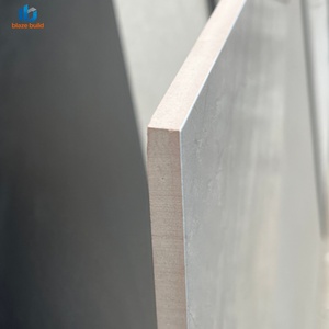 Azulejos de Porcelana con Aspecto de Piedra Natural Premium, 300x600mm, Verde Pastel, Acabado Brillante, Antideslizantes, Rústicos, para Paredes Interiores de Pasillos y Villas - Product Image 5