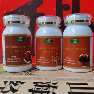 Бесплатная доставка: 3 флакона порошка экстракта гриба Антродия чага (Agaricus) с 30% полисахаридов в капсулах - Product Image 1