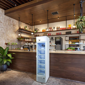 냉동 식품 및 아이스크림을 위한 Meisda SD105B 105L 단일 온도 디스플레이 슬림 직립 상업용 깊은 냉동고 - Product Image 2