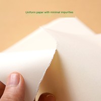 Papel de Impresión Offset A4 de 80 g/m², 100 Hojas, Protección para los Ojos, Sin Madera, Beige, Impresión a Doble Cara