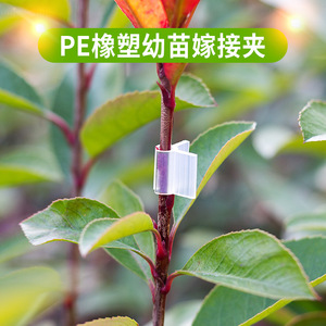 Clips de injerto para plántulas de tomate, melón y vegetales, de 2 mm a 5 mm, clips de unión duraderos para injertos en el jardín - Product Image 3