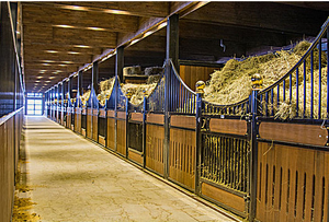 <strong>Feeding</strong> <strong>Bins</strong> Are Reversible Structural Integrity Is Comprehensive Steel Construction Is Strong and Durable <strong>Horse</strong> Shelter - Product Image 6
