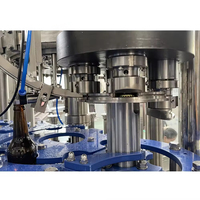 Ligne d'emballage et de remplissage entièrement automatique personnalisée pour vin, alcool, bière artisanale, machine de remplissage de bière