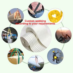 ダブル<span class=keywords><strong>Ply</strong></span>ヘビーデューティポリエステルリフティングスリングヘリンボーン強化50mmエッジウェビングベルトオーバーヘッドクレーン貨物輸送用 - Product Image 4