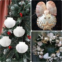 10 pièces grandes coquilles Saint-Jacques naturelles, 4 ''-5'' grande coquille pour l'artisanat, la peinture bricolage, la pâtisserie et les décorations de mariage de plage