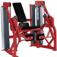 Machine de musculation double fonctionnelle Bickfit pour usage commercial, en acier, pour curls et extensions assis, avec pile de poids de 160 kg