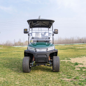Productos Más Vendidos, Carro de Golf de Largo Alcance con Batería de 60v 100ah, Bajo Consumo de Energía, Conducción Continua y Estable - Product Image 6