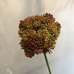 Bouquet décoratif réaliste fait main de baies artificielles pour la décoration de bureau et de jardin à domicile, fleurs et plantes artificielles en plastique - Product Image 1