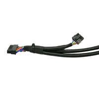 Câble de diagnostic automobile personnalisé SAE J1962 OBD2 16P, faisceau de câblage universel OBD