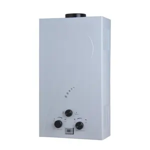 6L 8L 10L 12L 14L 16L 20L 24L Hot Selling Tankless Custom Of Standaard Gas Boiler Europa