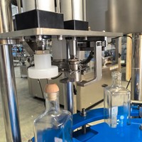 Tafelmodel T-kurk pers- en afsluitmachine voor gin, wijn, whisky en likeurflessen met duwstopper