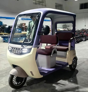 YINGWU 2025 Tricycle électrique adulte <span class=keywords><strong>3</strong></span> <span class=keywords><strong>roues</strong></span> E Bike Golf Cart avec moteur lisibilité et visibilité améliorées - Product Image 6
