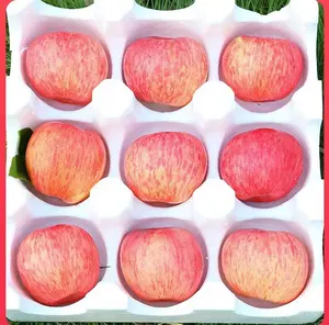 Chinese Fresh Fruits Hot Selling Good Quality New Crop Fuji Apple From China