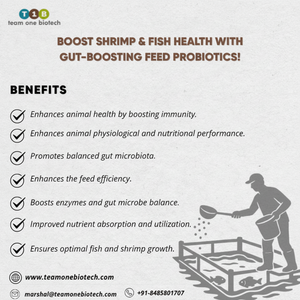Probióticos alimenticios que mejoran la microflora para el producto fortalecedor del intestino del estanque de camarones - Product Image 1