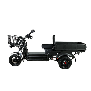 Venta al por mayor de fábrica: Triciclo eléctrico CKD de 1000W con alto torque para carga, a la venta. - Product Image 4