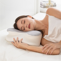Oreiller cervical en mousse à mémoire de forme à contour papillon, vente en gros d'usine, certifié OEKO-TEX, housse respirante, logo personnalisé, luxe