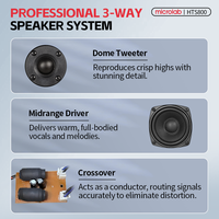 Sistema de Cine en Casa Microlab HTS800 5.1 Canales con Subwoofer de 8 Pulgadas y Potencia de 180W RMS para una Experiencia Inmersiva en Películas, Fiestas y Uso con Computadora