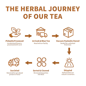 Té de Recuperación Posparto OEM, Suplemento Herbal Natural para Madres Primerizas, Vegano, Sin OMG, 10 Bolsitas de Té de 5g Cada Una - Product Image 3