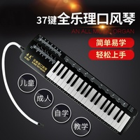 All Music Theory Children Beginner Students Adult Use Introductory 37 Keys ABS Resin Phosphor Bronze Reed Melodica 46x13x4cm