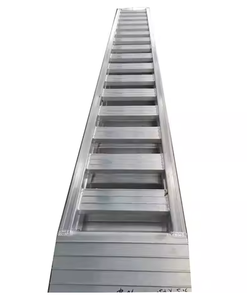 <span class=keywords><strong>Rampe</strong></span> <span class=keywords><strong>de</strong></span> chargement pour remorque/camion en aluminium argenté ultra-résistant 3T, côté droit, 2,5 mètres, inclinaison personnalisable, capacité <span class=keywords><strong>de</strong></span> 3 tonnes, 12 mois - Product Image 1